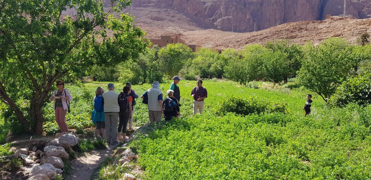 La Petite Gorge, Hotel & Restaurant Todra Gorge Тингир Экстерьер фото